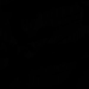 Meet your Posher, Labib